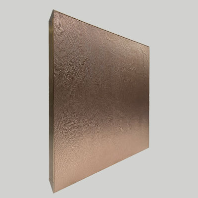 10 * 8 Anodyzowany aluminium Modularne szafy kuchni Metalowe drzwi ODM